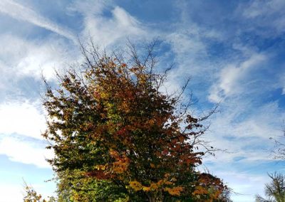 Untersteinbach - Herbststimmung