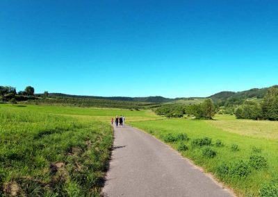 Untersteinbach - Spaziergang